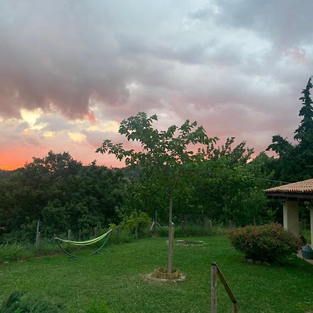 Agriturismo Il Covo Del Solengo Valtopina Exterior photo